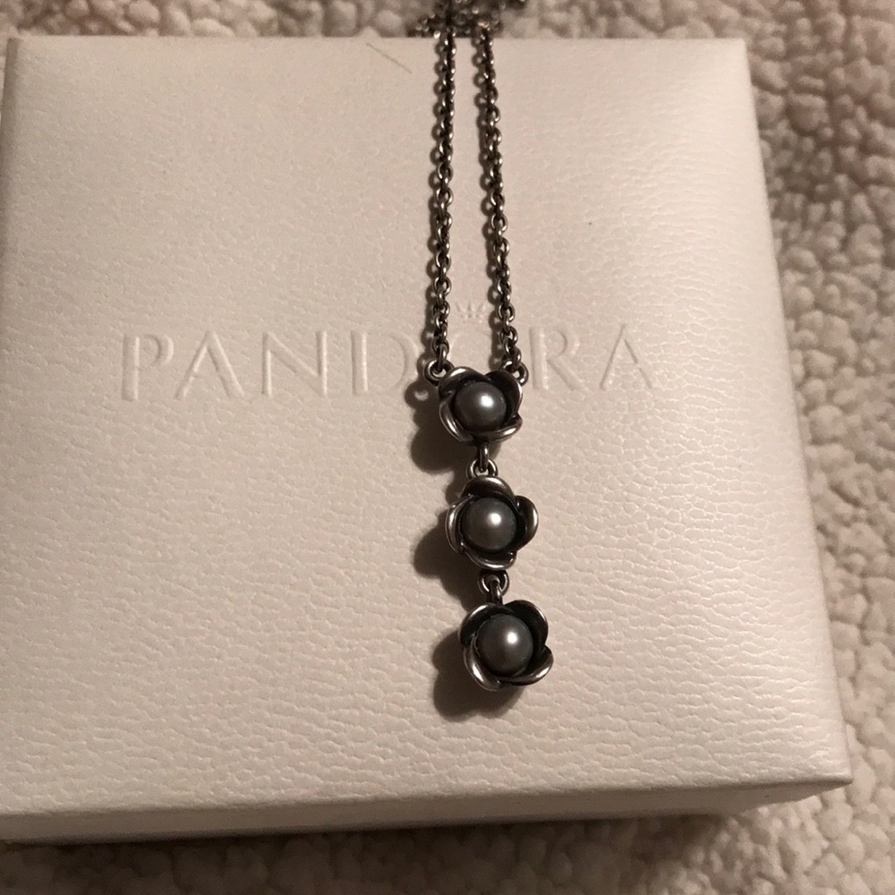 Pandora necklace